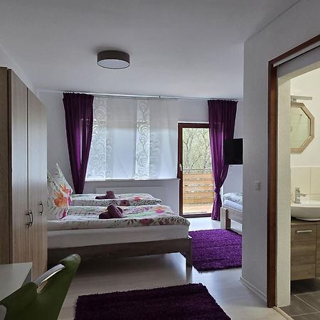 Appartamento La Casa Suciu Forchtenberg Esterno foto