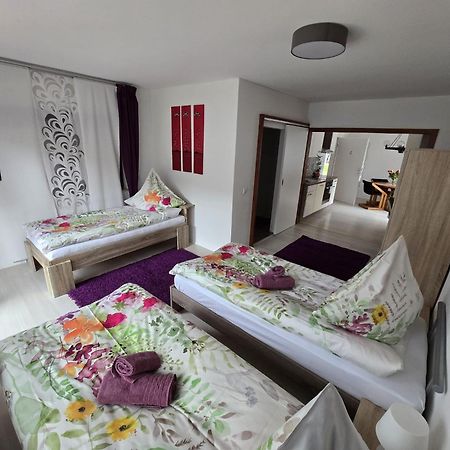 Appartamento La Casa Suciu Forchtenberg Esterno foto