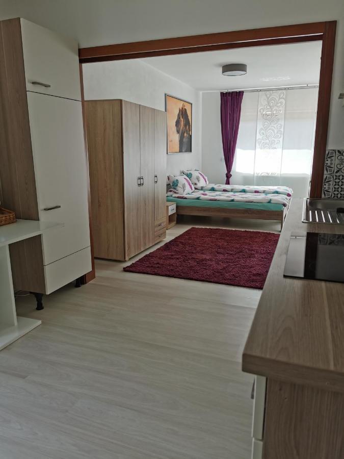 Appartamento La Casa Suciu Forchtenberg Esterno foto