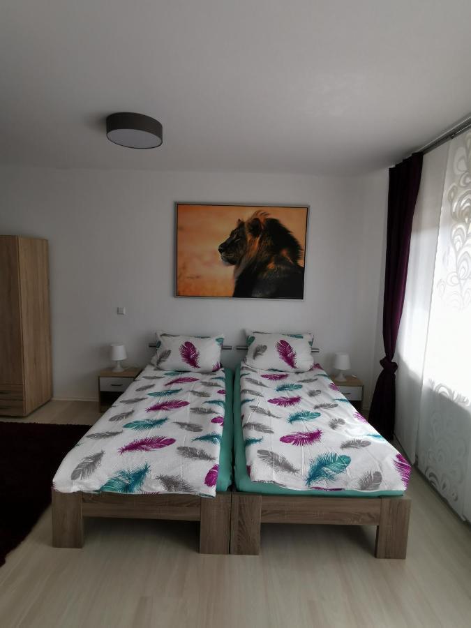 Appartamento La Casa Suciu Forchtenberg Esterno foto